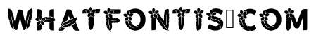 Fawne Regular