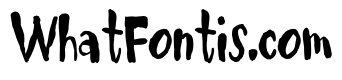 ZP Fast Forward Condensed