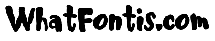 ZP Fast Forward Bold