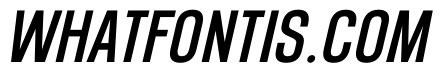 Family Opinion Italic