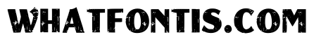 Exotic Letter Regular