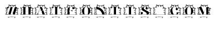 Everlaurel Split Monogram