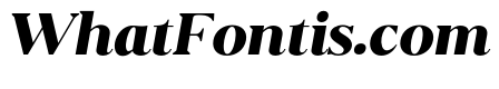 Eryndor Black Italic