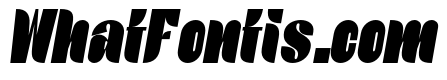 Elyon Extra Black Italic