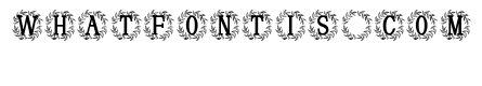 Elmsworth Monogram