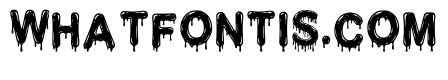 Elm Regular