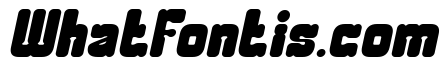 ELEPHANT TRUNK Bold Italic