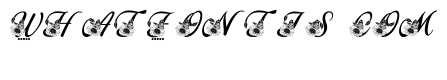 ElegantFloralMonogramAlphabet