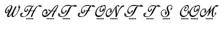 Elegant Beauty Leafy Monogram