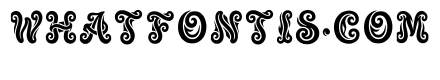 Eitne Regular