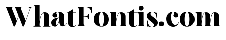 Editorium Serif Variable Black