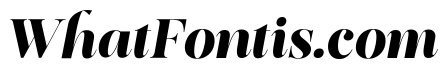 Editorium Serif Variable Blk It