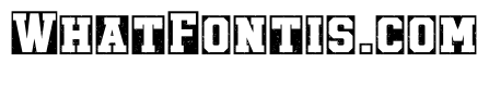 Dumps Style Regular