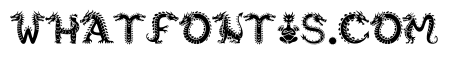 Dragon Storm