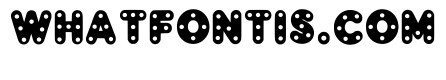 Dotty Bubble Regular