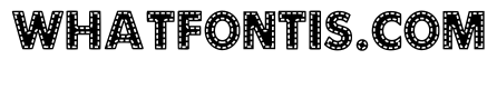 Dotted Lines Regular
