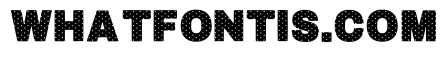 Dot Bold Regular