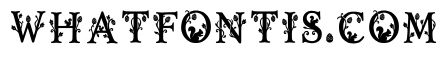 Donny Regular