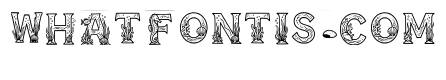 Domonique Regular