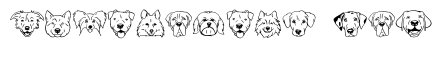 Dog Portrait