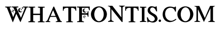 Divie Star