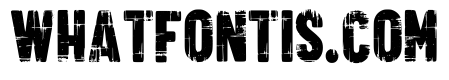 Distressed Creative Regular