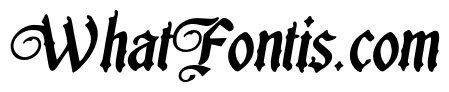 DilomaItalic