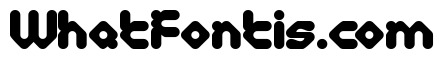 Digital Monkey Bold