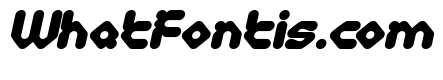 Digital Monkey Bold Italic
