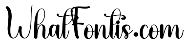 Digital Calligraphy