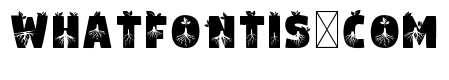 Btzroots