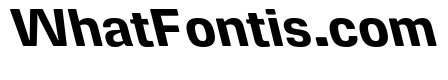 DeBox Bold Slanted