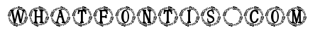 Darlowe Monogram