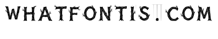 Cyath Regular