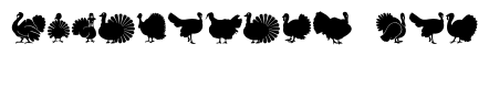 Cute Turkey