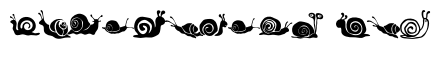 Cute Snail Animal