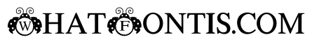 Cute Ladybug monogram