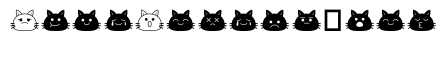 Cute Catty Regular