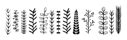 Crownleaf Dingbat