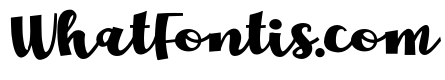 ZP Flopover Bold