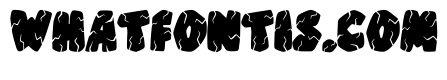 Cracked Stone By Squeeb Regular
