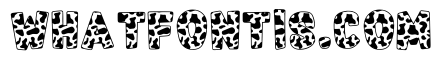Cow Milk Regular