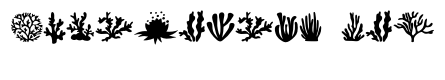 Coral Silhouettes