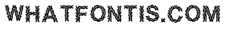 Cobie Regular