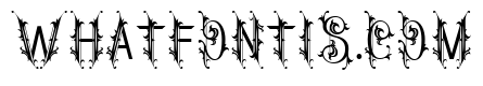 Clister Regular