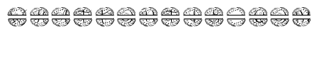 Circulaflora Split Monogram