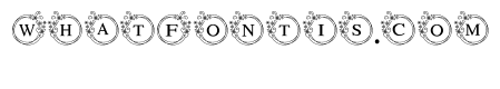 Christmas snowflake frame