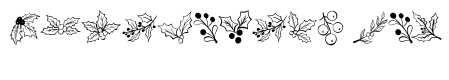 Christmas Botanical Line Art Bundle