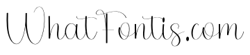 Christmas Autography