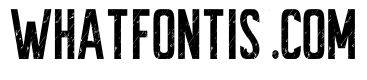 Christian Texture Regular